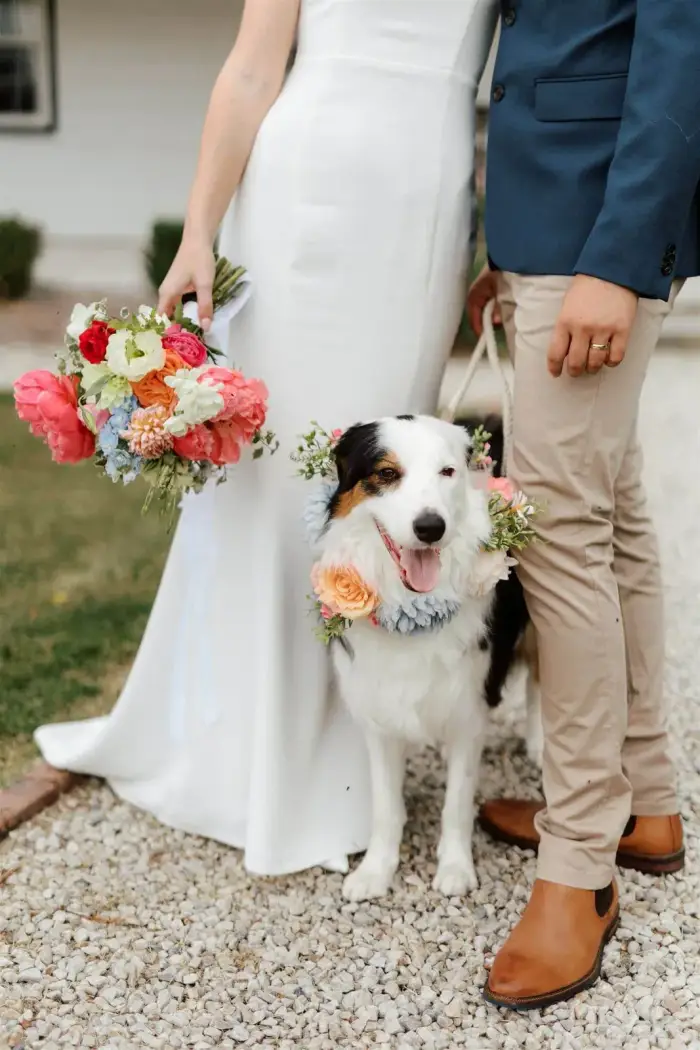 Bride holding a bright bouquet with the couple's dog wearing a matching flower collar